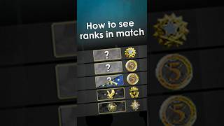 How to find players ranks and faceit lvl in game screenshot 1