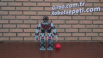 Bioloid Premium Humanoid & Programlama - www.robotsepeti.com
