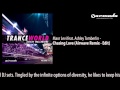 Miniature de la vidéo de la chanson Chasing Love (Airwave Remix)