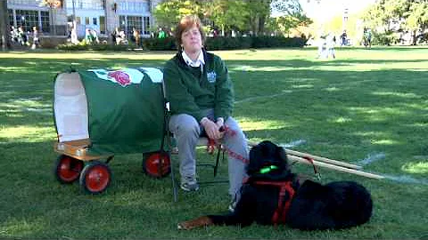 Spartan Sagas: Kathy Applegate