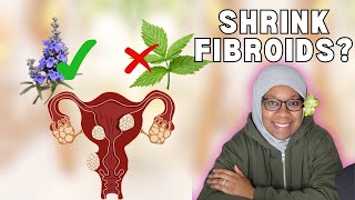 Shrink Fibroids with these 4 Herbs and Supplements