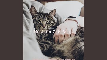 Pulsating Ambience for Peaceful Cats