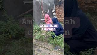Raisya ambil buah ciplukan #trending #shortvideo #ibudananak #buahviral