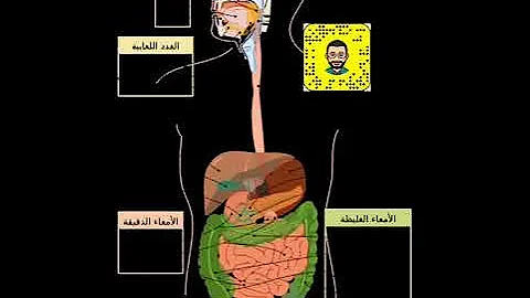 Your gut #ingesting #stomach. Julia. #colon #chees...