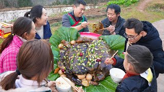 【超小厨】2只甲鱼3斤鹌鹑蛋，过年大补“甲鱼烧鸟蛋”，高级营养啃不停，带劲！