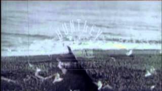 The Pier At Eastbourne, 1930S - Film 92294