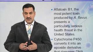BIO731_Topic067