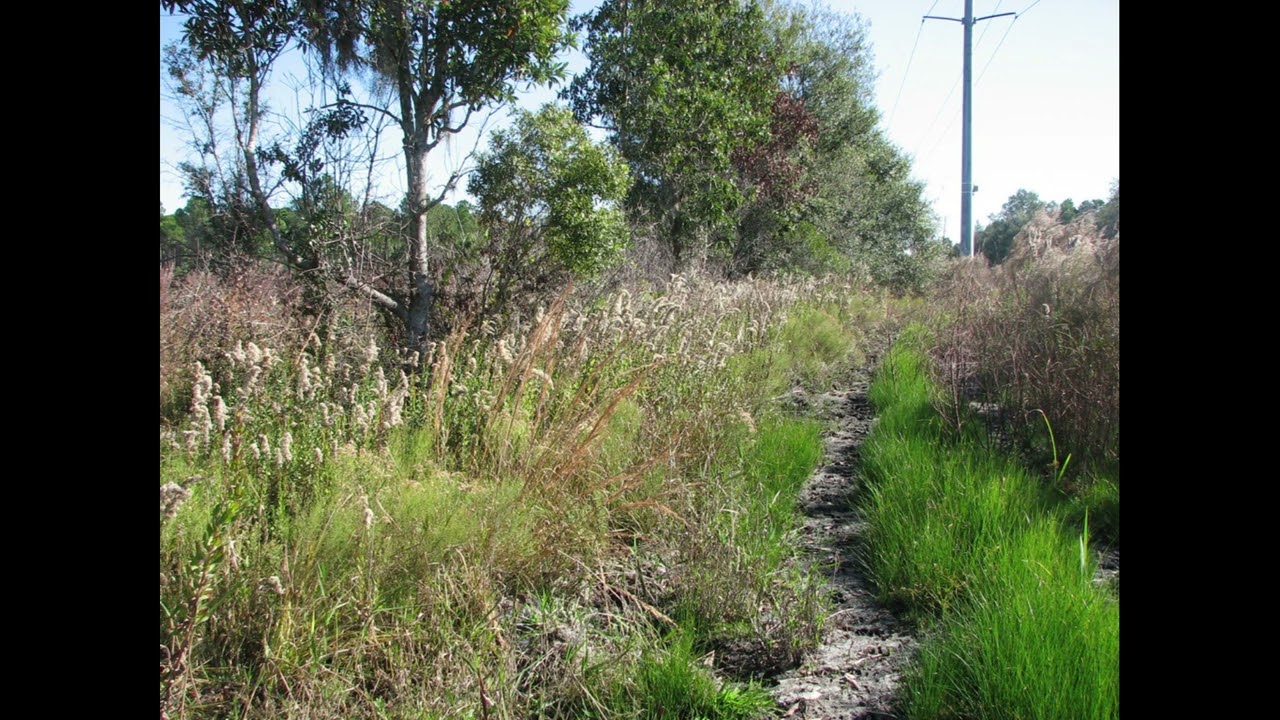 skyfrom - one chance (prod. 1Life)