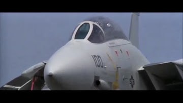 The Grumman F-14 TOMCAT