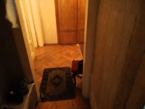 იყიდება 3 ოთახიანი ბინა ვაკეში აბაშიძეზე