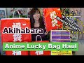 Lucky bag haul 2023 anime figures merch and a lottery ticket