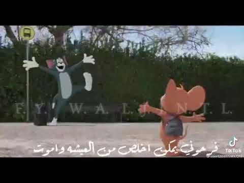 حالات واتس اب فرحوني يمكن اخلص من العيشه واموت