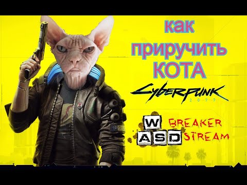 Как завести кота в Cyberpunk 2077