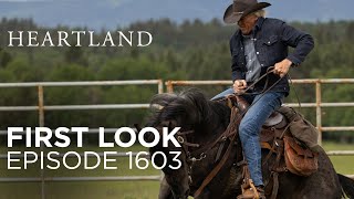 Heartland First Look: Season 16, Episode 3