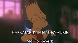 Harkatan kha natho murin | SLOW & REVERB | Ghulam Hussain Umrani. TikTok Viral Song.