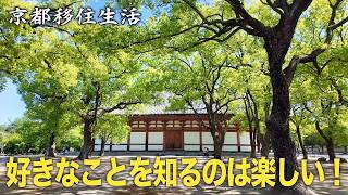 【30代フリーターのVlog】京都移住生活｜日常｜京都を知る｜西寺跡 松尾祭｜東寺｜新緑｜カフェ｜買い物｜京都検定｜京都のお菓子【No.127】