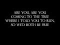 The Hanging Tree Lyrics (Full Song) - Jennifer Lawrence Mockingjay Part 1