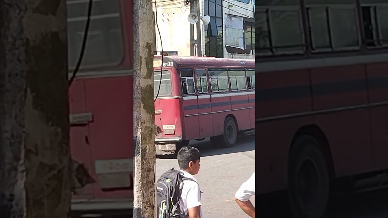 Sri Lanka Bus 😍💖 