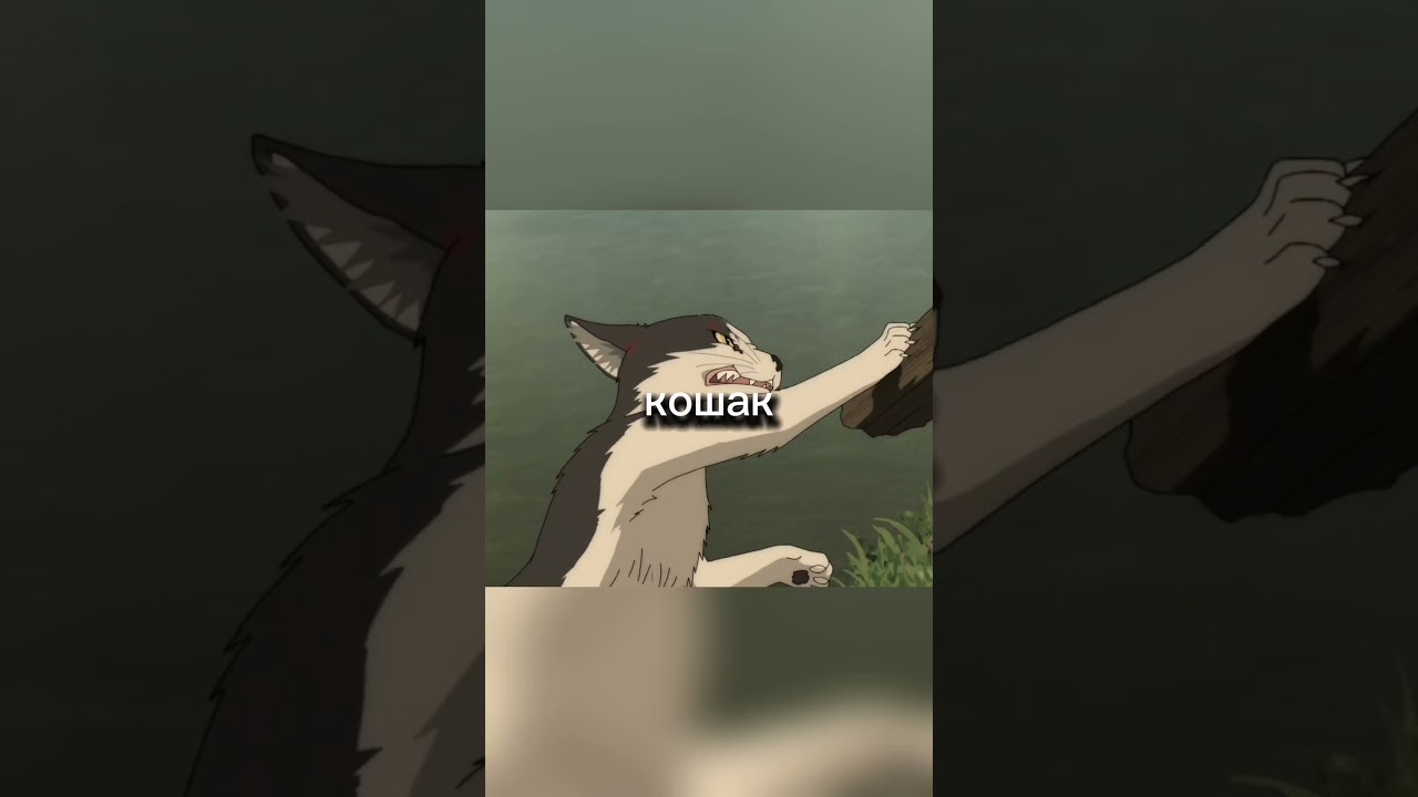 Кот=не демон 