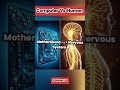Computer Body Vs Human Body Comparison #kunfayakun #computerscience #sobaqonlineacademy