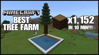 Best Tree Farm For Minecraft All Versions