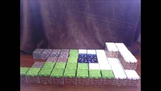 A Noobs Life - Stop Motion Animation - 1000 view special
