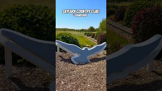 Come play Skylark Country Club with us! 🏌🏻‍♂️☀️ #golf #golfer #golfshot #golfuk #golfclubcleaner