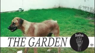 The Garden - 'Red Green Yellow' (Full Album Stream)