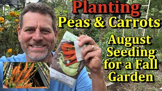 Planting Peas Carrots for a Fall Vegetable Garden What to Plant in August September