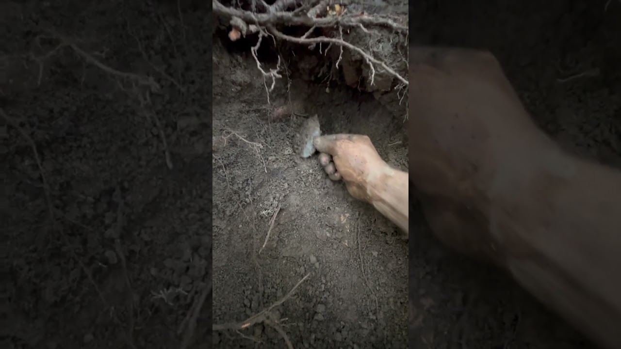 Adena blade found in front of a  rock shelter in south central Kentucky 