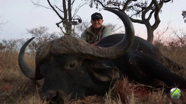 Cape Buffalo Hunting with a Bow!