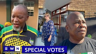 'Think wisely about your choice' - Zille, Mantashe cast their votes