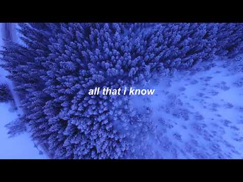 AURORA All Is Soft Inside Lyrics 