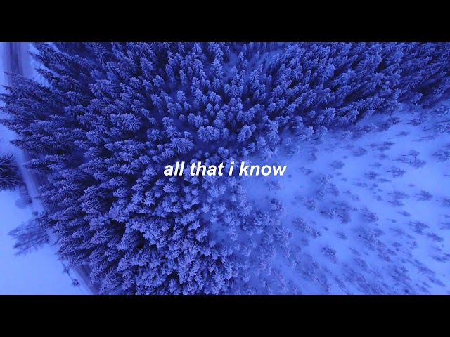 AURORA | All Is Soft Inside [lyrics] class=