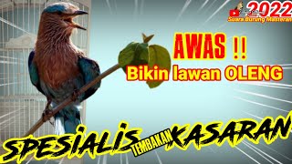 SPESIALIS ISIAN KASAR ! suara tembakan kasar untuk masteran || MASTERAN BURUNG LOMBA - MEWAH