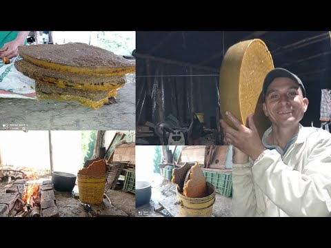 Como extraer Cera Virgen #apicultura #abejas #apismellifera #método #amazing