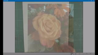 Camera Lucidia for Windows 10 demo 2 screenshot 5