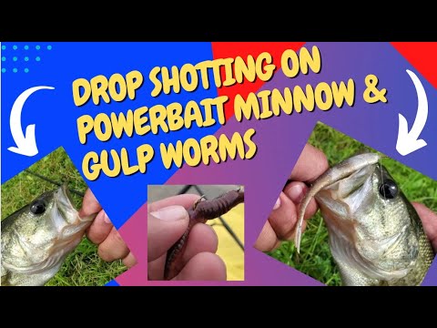 Owner Mosquito 5177-111 – Ami Per Drop Shot E Bass Fishing – Taglia 1/0 – 7 Pezzi - Foto 6