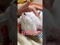 飼い主に撫でられるのが大好きな弟猫が可愛い