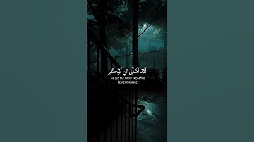 وَيَوْمَ يَعَضُّ الظَّالِمُ عَلَىٰ يَدَيْهِ #احمد_النفيس #القران_الكريم #تلاوات #quran