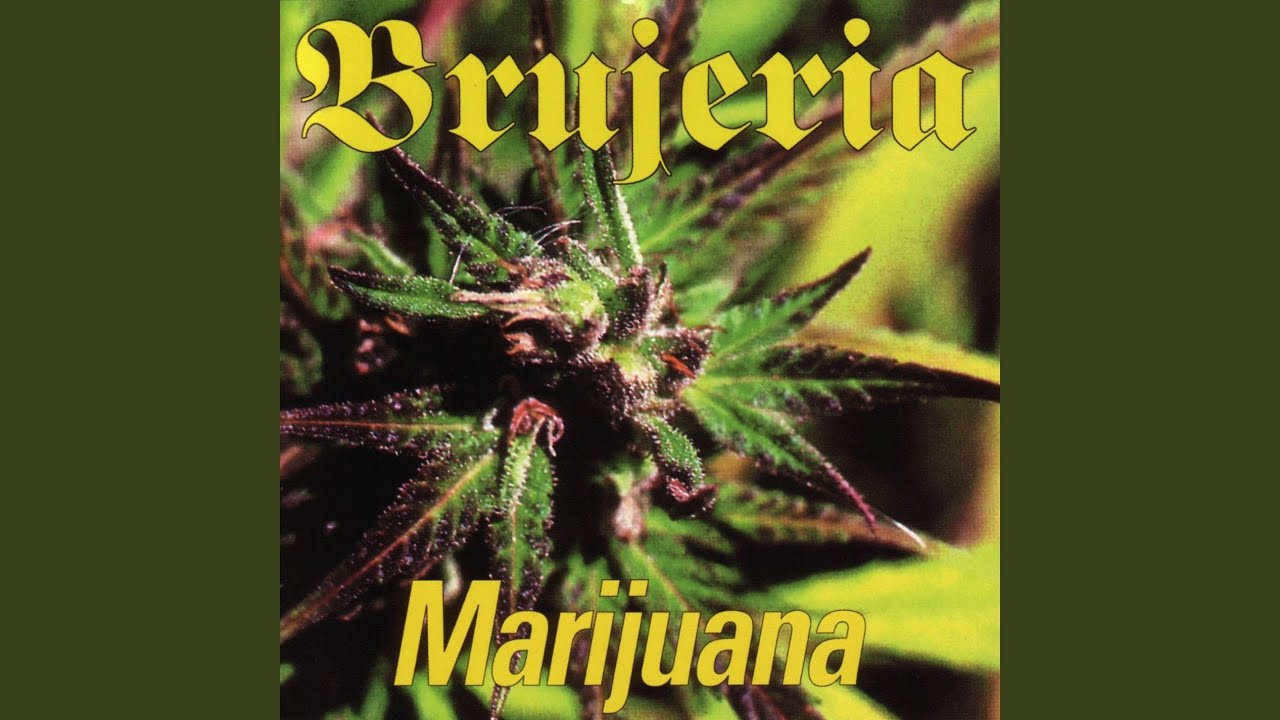 洋楽 Brujeria Matando Gueros / Marijuana 7 Matando Gueros (Live) - YouTube