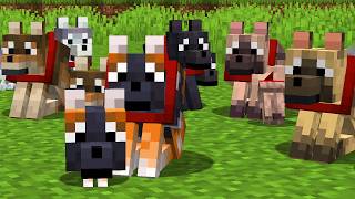 9 New Minecraft Wolves by CaptainSparklez 174,337 views 2 months ago 6 minutes, 27 seconds