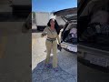 Crazy For Koko#buenosaires #kokosdailylife #femaletruckdriver #owneroperator #kokosjourney #trucker