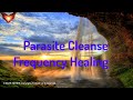 Parasite cleanse v2 frequency healing  get rid of nasty worms flukes and other parasites