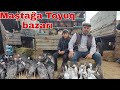 Maştağa Toyuq bazarı. 14,11,21#satisi #mastagatoyuqbazari #mastagamalbazari  #mubarizemintv