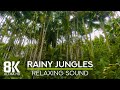 8K Rainy Day in the Jungle - Relaxing Sounds of Pouring Rain and Tropical Forest