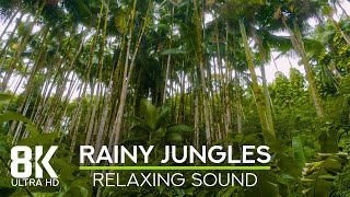 8K Rainy Day in the Jungle - Relaxing Sounds of Pouring Rain and Tropical Forest