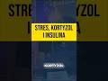 Co powoduje kortyzol w naszym organizmie?