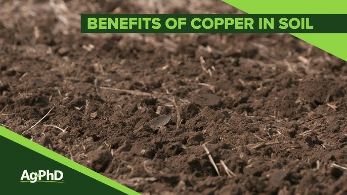 Copper for Healthy Plants 