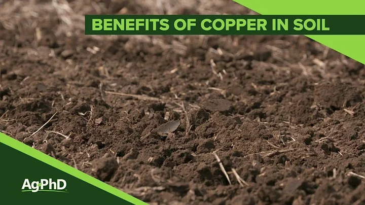 Unlocking the Power of Copper: Enhancing Plant Health and Yield